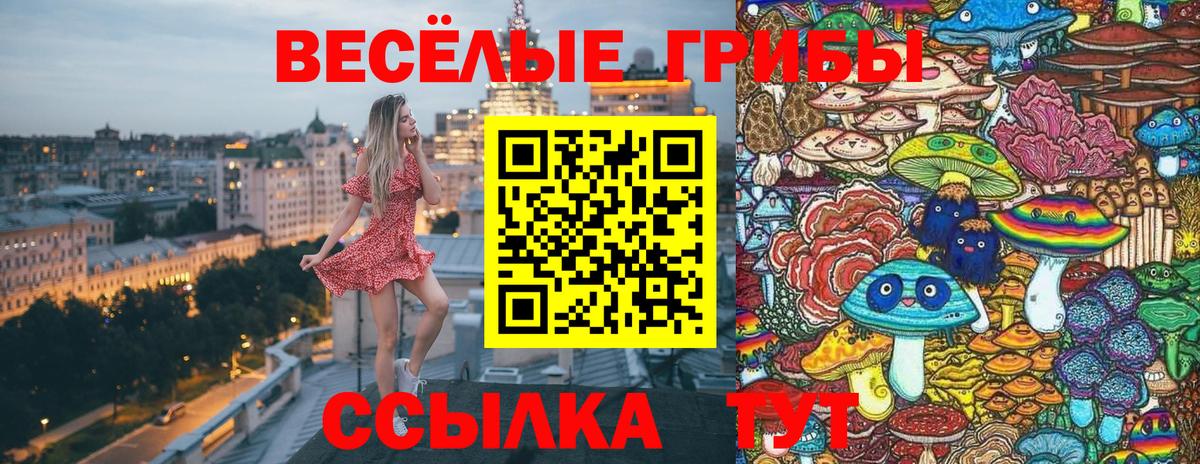 где можно купить   Вход с VPN  Волоколамск  Галлюциногенные грибы Psilocybine cubensis 