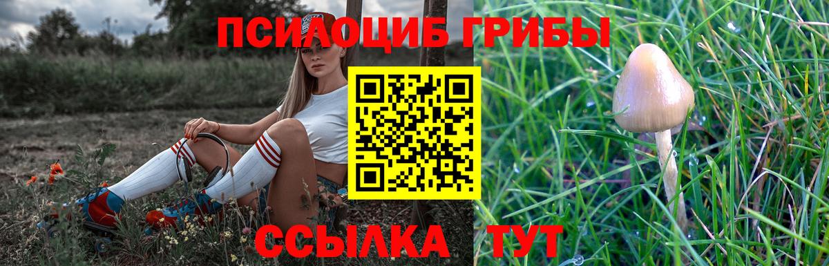 Галлюциногенные грибы прущие грибы Волоколамск